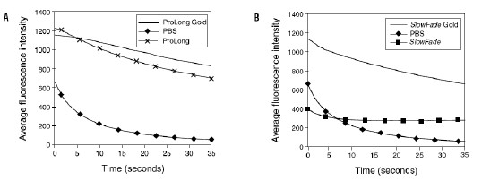 Figure 2. ProLong? Gold (图 A) and SlowFade? Gold (图 B) 抗淬灭剂有效防止光漂白用不同的抗淬灭剂将 FITC 标记的微球封片，100 瓦贡弧灯照射 30 秒，40x/1.3 NA 油镜观察，12-bit 单色 CCD 成像。取20 个微球的平均荧光强度作图。