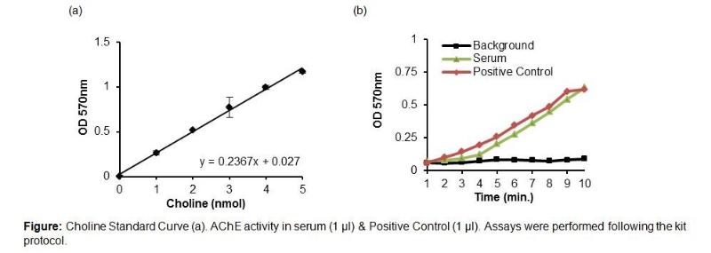 Biovision新品：胆碱和乙酰胆碱检测试剂盒、乙酰胆碱酯酶活性分析试剂盒