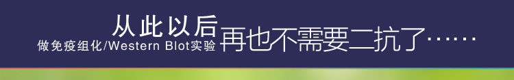 免疫组化、WesternBlot再也不需要二抗了