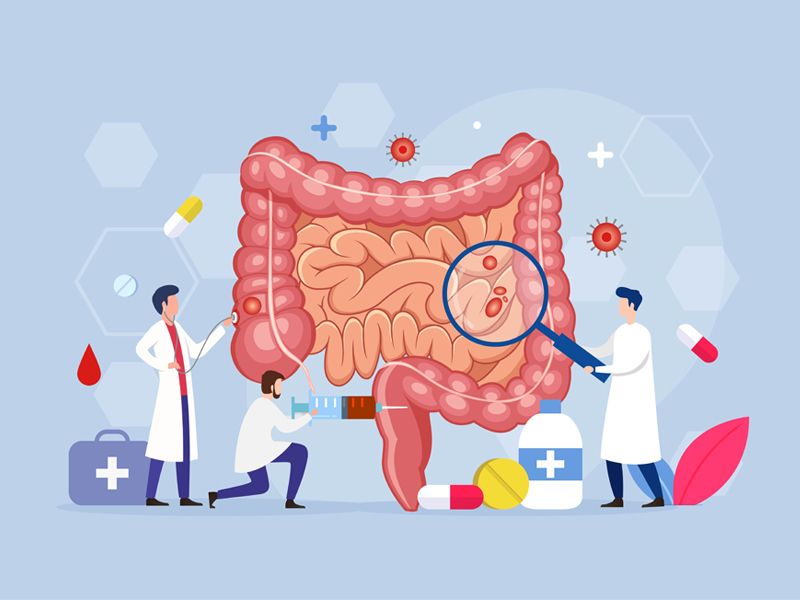 Read more about the article “肠道健康保护者”的潜力候选出现了