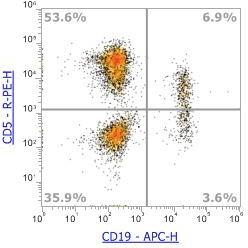 Anti-Human CD5，PE (Clone: UCHT2) 流式抗体 - 结果示例图片