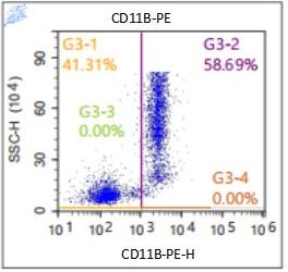 Anti-Human CD11b, PE （Clone: LT11）检测试剂 - 结果示例图片