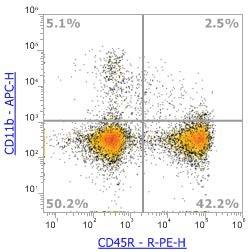 Anti-Human/Mouse CD45R (B220), PE (Clone:RA3-6B2) 流式抗体 - 结果示例图片