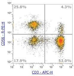 Anti-Human CD56 (NCAM), PE (Clone:MY31)流式抗体 - 结果示例图片