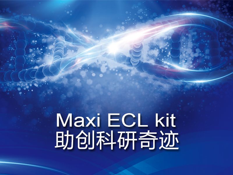 Read more about the article 和记娱乐官网app,和记官方平台,和记网址官方生物Maxi ECL kit助创科研奇迹