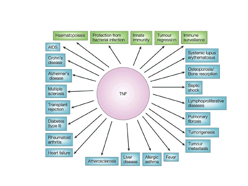 Read more about the article 肿瘤坏死因子TNF配体及受体超家族成员