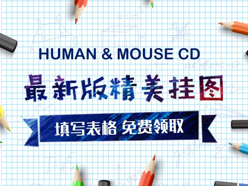 Read more about the article 最新human &mouse CD  精美海报，欢迎索取!