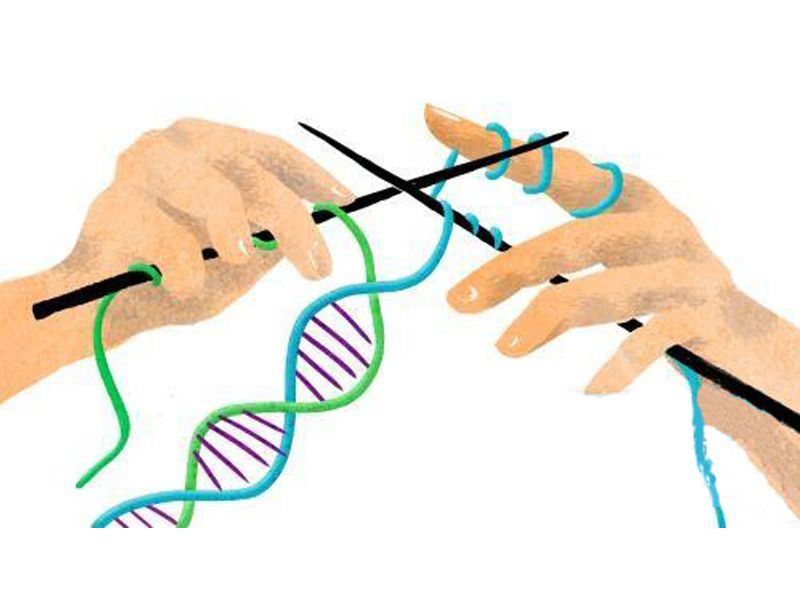 Read more about the article 浅谈基因编辑工具：SpyCas9 系统