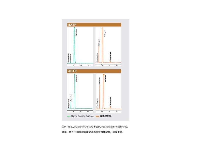 Read more about the article 罗氏 FastStart dNTPacks Ⅳ