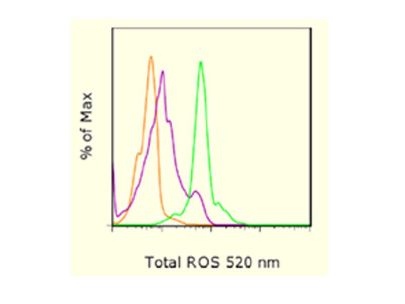 Read more about the article eBioscience最新推出：总活性氧流式分析试剂盒