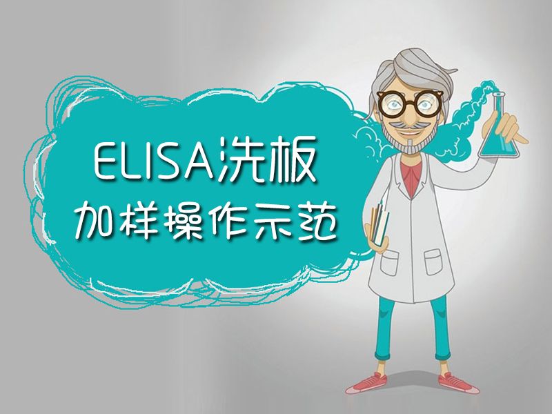 Read more about the article 蓝瘦香菇？ELISA洗板+加样操作示范来拯救你！